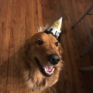 Meet your Posher, Natalia